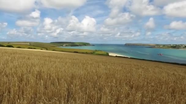 Of turquoise river estuary, with sandy beaches and boats, over a golden wheat field. — Stock Video