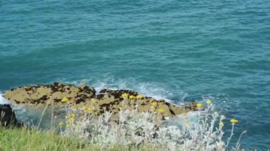 Dalgalar yavaşça İrlandalı sahil şeridi, Wexford, İrlanda bir güneşli yaz gününde üzerinde kaya kırma