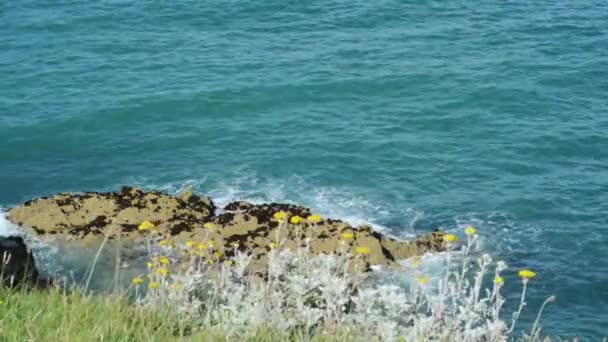 Olas rompiendo suavemente en la roca en la costa irlandesa, Wexford, Irlanda en un soleado día de verano — Vídeo de stock