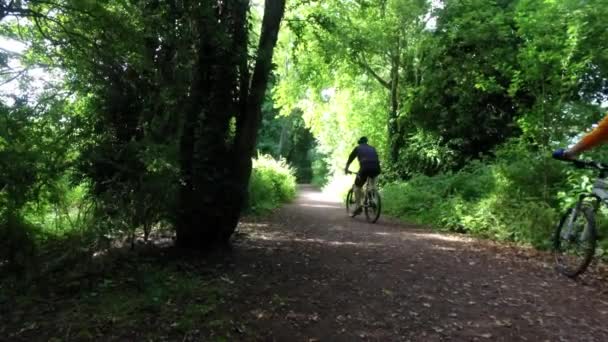 Ältere Radler auf einem von Bäumen gesäumten Feldweg — Stockvideo