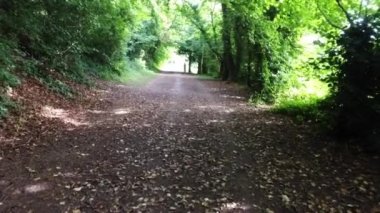 Woodland geçit aracılığıyla bir yaz gününde İngilizce kırsal ağaçlarda