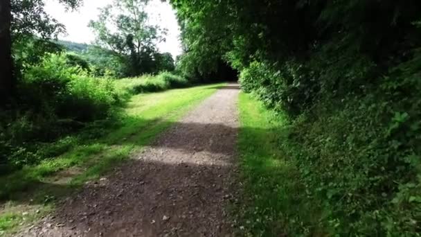 Mouvement en douceur le long d'une allée de campagne anglaise et d'un chemin de bride . — Video