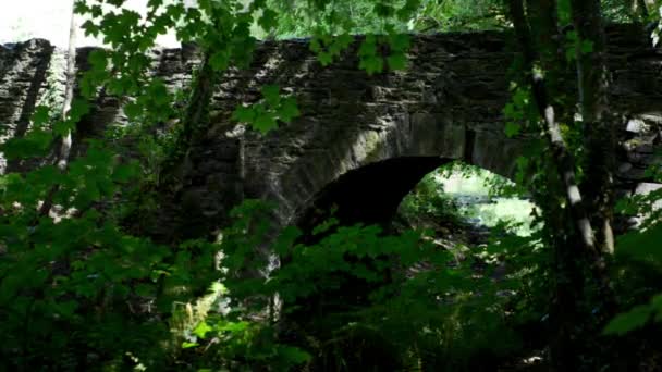 Ruhig fließender Bach, unter einer steinernen Fußgängerbrücke, an einem magischen Ort mit gefleckten Schatten von Sonne durch Baumblätter in Irland. — Stockvideo