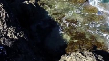 Dalgalar üzerinde deniz yosunu kırma geliyor gelgit kaya kaplı
