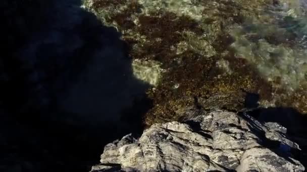 Golven lappen op rots met zeewier in zeewater en negatieve ruimte wissen. — Stockvideo