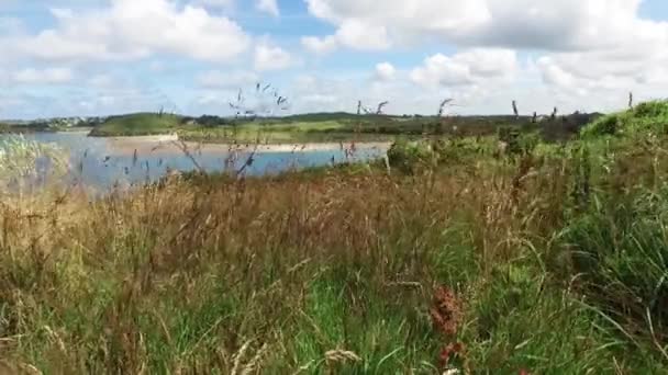 Bekijken door lang gras in kustgebieden veld zoeken in een mooie estuarium en de kust weide buiten — Stockvideo