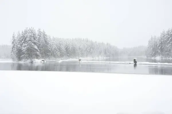 River Pielisjoki Flowing Winter Landscape — Stock Photo, Image