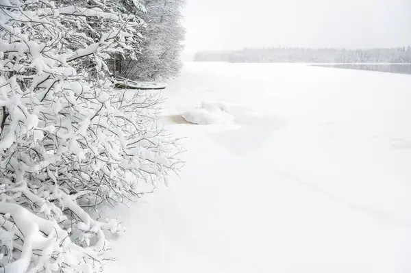 Paisaje Invernal Orillas Del Río Cubiertas Nieve —  Fotos de Stock