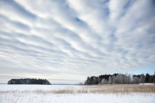 凍った湖の岸の冬の風景 — ストック写真