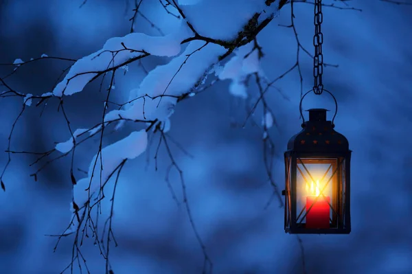 Karlı Ağaç Dalından Sarkan Mum Feneri — Stok fotoğraf