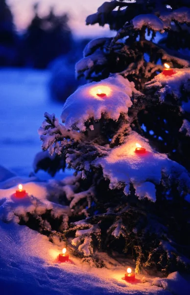 Outdoor Christmas Tree Covered Snow Red Candles — Stock Photo, Image