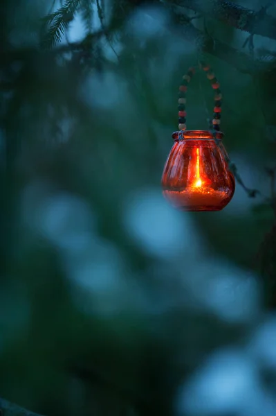 Linterna Vela Colgando Rama Del Árbol — Foto de Stock