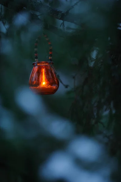 Lanterna Vela Pendurada Ramo Árvore Abeto — Fotografia de Stock