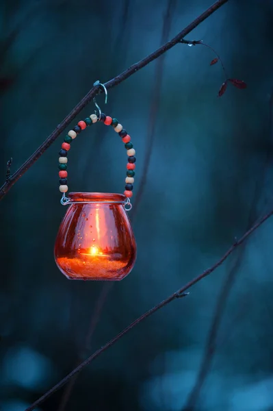 Ljuslykta Hängande Från Trädgren — Stockfoto