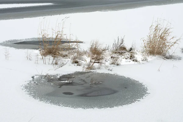 Costa Lago Congelada Com Gramíneas Cobertas Neve — Fotografia de Stock