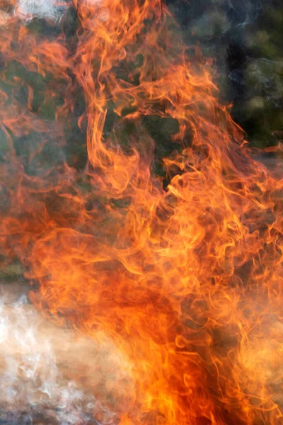 Zuřící Oheň Hořící Oheň Táborák Hašení Požárů — Stock fotografie