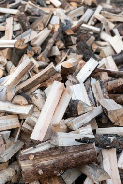 Yığınla yakacak odun. Kozalaklı ve yaprak döken odun yığınları..