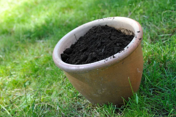Doniczka Wypełniona Pleśnią Kompostu Ziemia — Zdjęcie stockowe