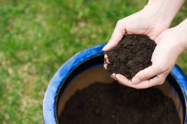 Toprağı tutan ve saksıyı dolduran eller..