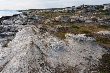 Doğal deniz kıyısı taşları ve kayalık kaya, Arktik Okyanus kıyısı Varanger yarımadası, Finnmark, Norveç