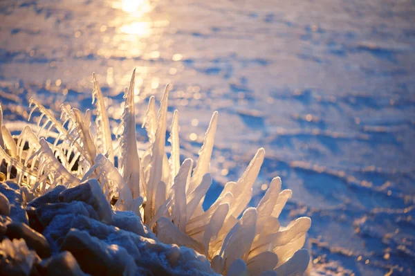 冬日的阳光照耀着冰柱 — 图库照片
