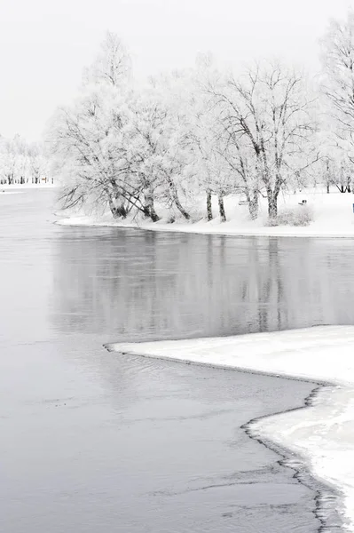 Río Que Fluye Través Del Paisaje Invierno Árboles Cubiertos Heladas —  Fotos de Stock