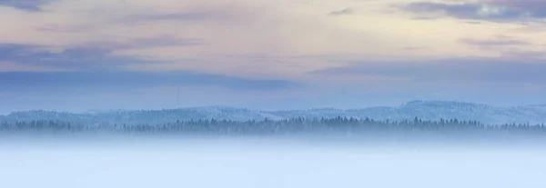 Paisaje Invierno Nublado Con Árboles Forestales Cubiertos Heladas —  Fotos de Stock