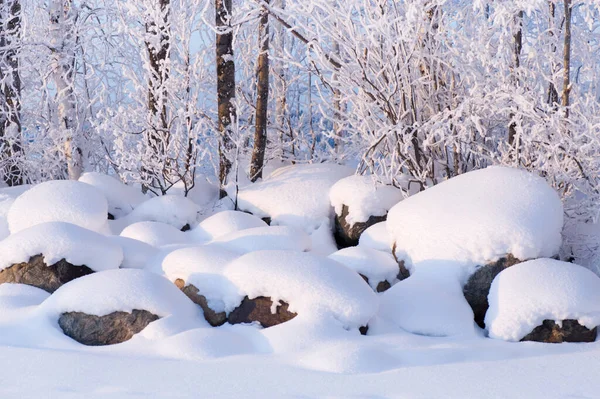 Nieve Recién Caída Cubriendo Piedras Ramas Enfoque Ramas —  Fotos de Stock
