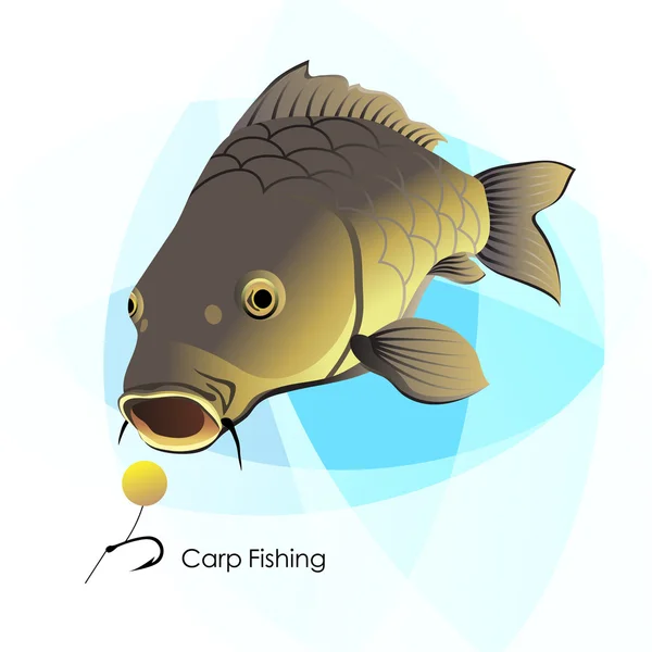 Karp fiske, fisk och lure — Stock vektor