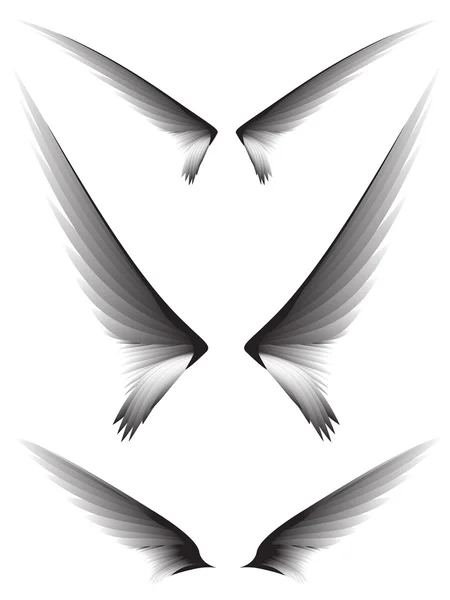 Set graue Flügel # 2 — Stockvektor