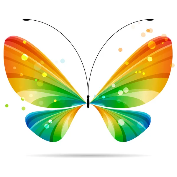 Beautiful Colorful Multicolored Striped Butterfly White Background Black Antennae Four — Stock Vector