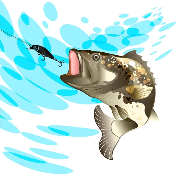 Multicolored Fish Bass Perch Fishing Bait Black Vobler Water Splash — Stock Vector