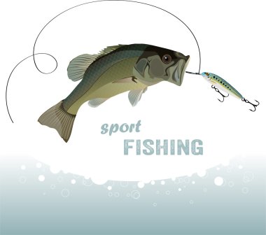 Bass fishing clipart