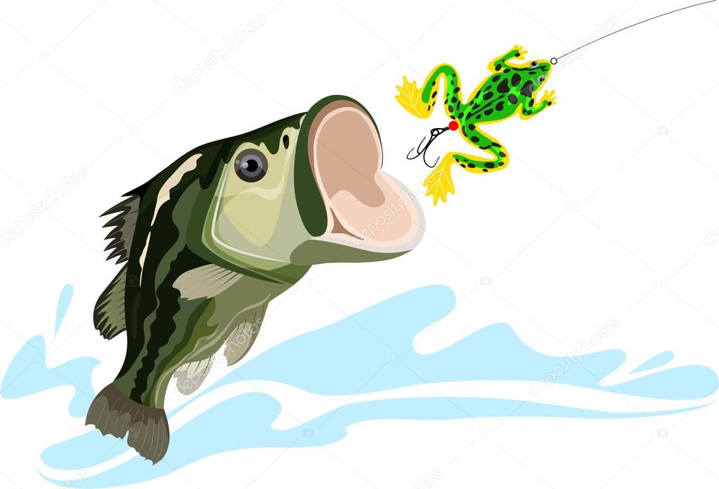 Bass and bait, predatory fish, big fishing, frog bait, vector illustration