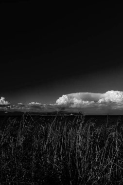 Beautiful seascape. Black and white.