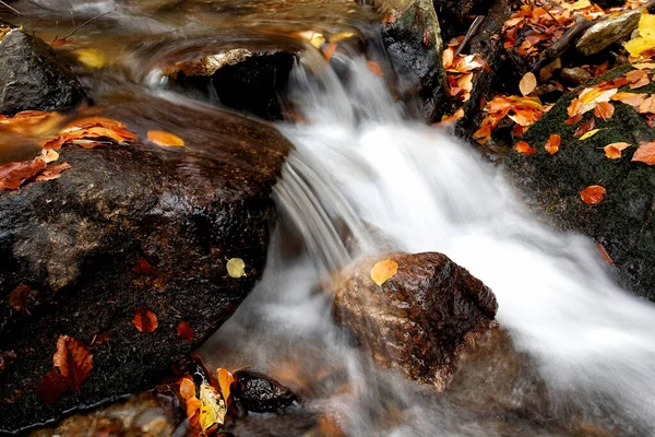 Ruscello Montagna Autunno Ruscello Nella Foresta — Foto Stock