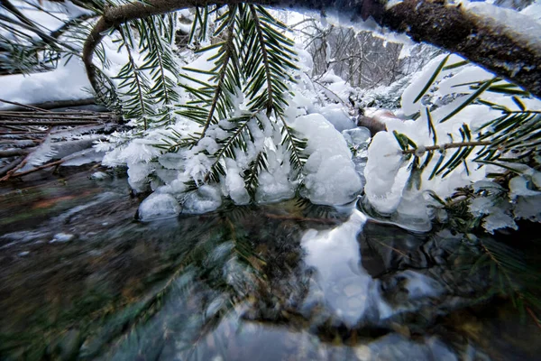 Горный Ручей Зимой Лед Ручье — стоковое фото