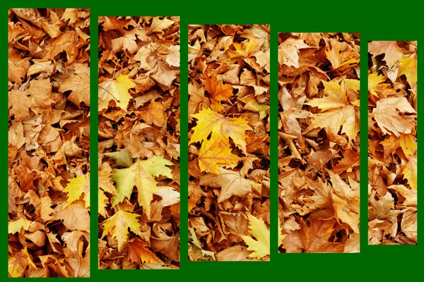 Yellow decorative maple leafs fall background, illustration — Stock Photo, Image