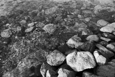 deniz kıyısı siyah ve beyaz