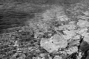 deniz kıyısı siyah ve beyaz