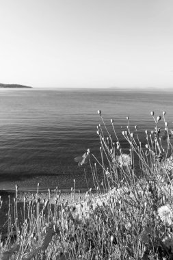 Güzel deniz manzarası siyah ve beyaz