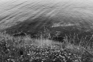 Güzel deniz manzarası siyah ve beyaz