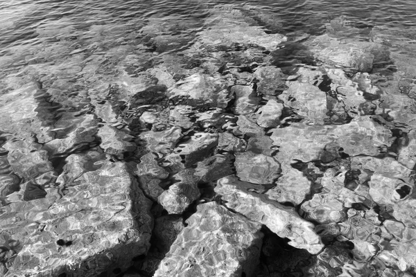 Vagues de mer noir et blanc — Photo