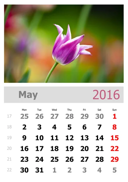 Kalender 2016. Mei — Stockfoto