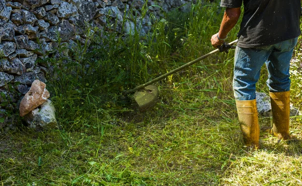 Jardinero de corte Césped con cortador de césped — Foto de Stock