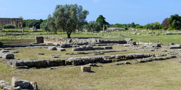 Ruiny starověkého řeckého města Paestum — Stock fotografie