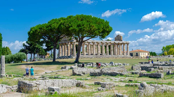 Nádherné Starověké Řecké Sloupy Chrámu Velmi Dobře Zachovány Chrám Paestum — Stock fotografie