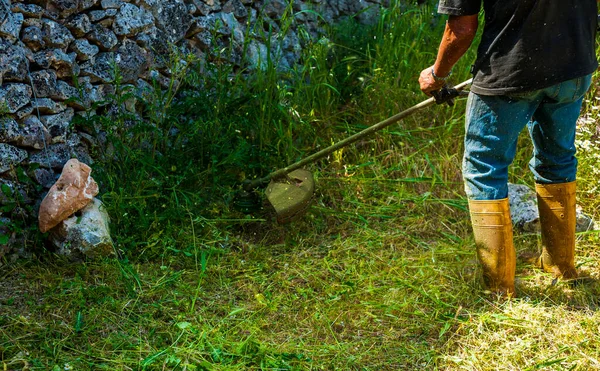 Gardener cutting Lawn with lawn trimmer string