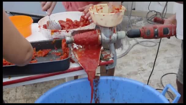 Tomato sauce handmade at home — Stock Video