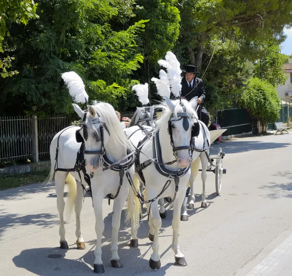 Paestum, İtalya - 08.15.2014: Arabacı ve çizilmiş taşıma